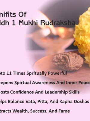 1Mukhi Rudraksha