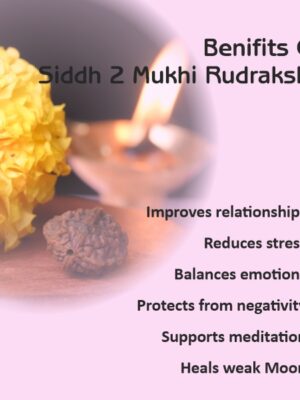2 Mukhi Rudrakhsa